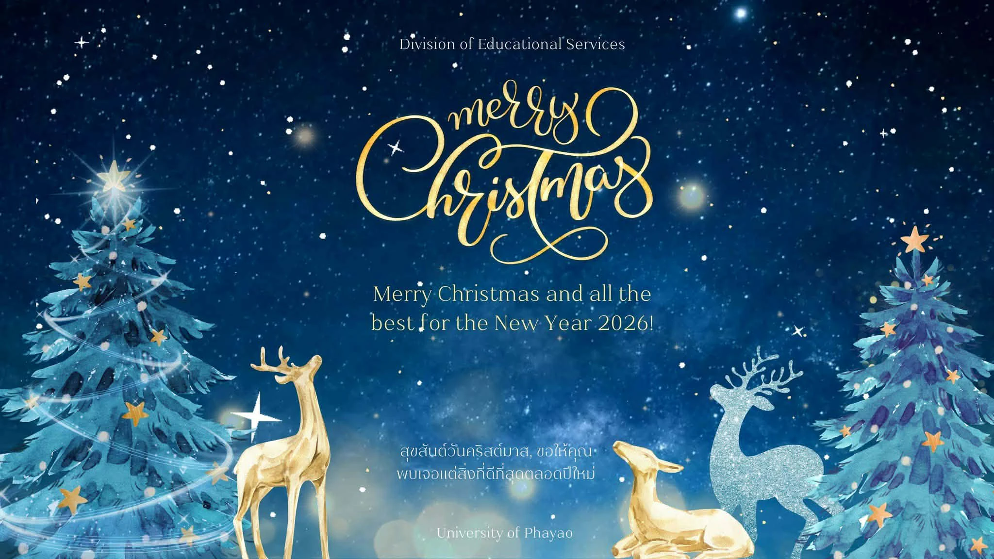 Merry Christmas and Happy New Year 2026